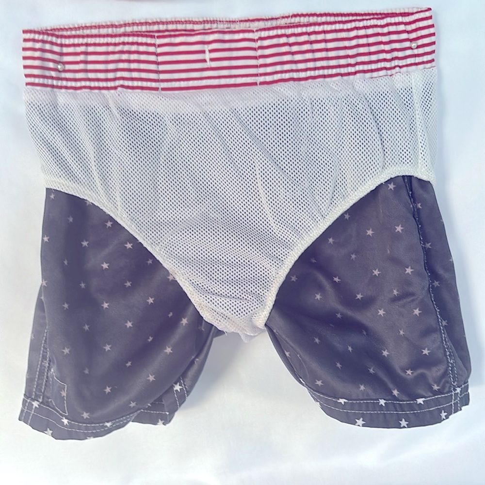 VINTAGE 2002 SET OF 2 BABYGAP PATRIOTIC SWIMSUIT TRUNKS 12-18 MONTHS - LIKE NEW! - Picture 13 of 13